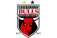 Bulls_Logo